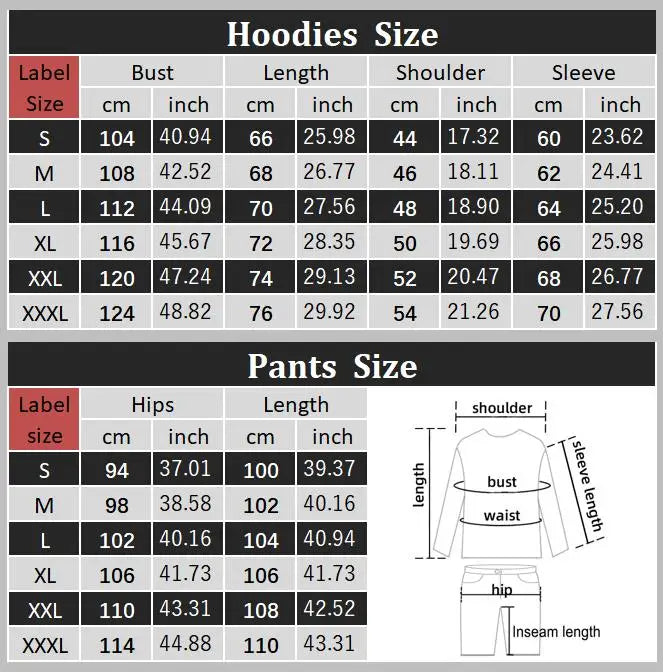 High quality pants Sets for Women Hoodie +pants Autumn Winter 2-Piece Outfits Basic blank Sweatshirt Sweatpant women Tracksuit